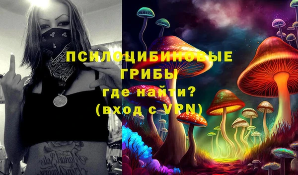 МДПВ Арсеньев